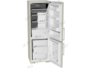 Холодильник Gorenje RK62345DC (250130, HZS3567AFV) - Фото
